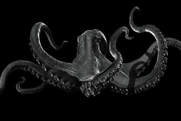 Kraken 13 at