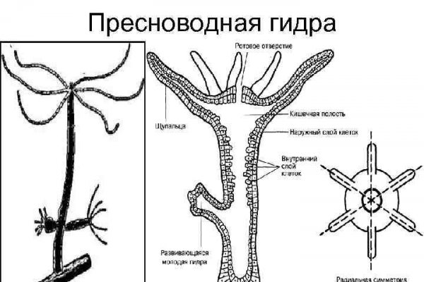 Сайт кракен гидра